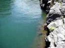 Eagle Ray in the Wailuku River