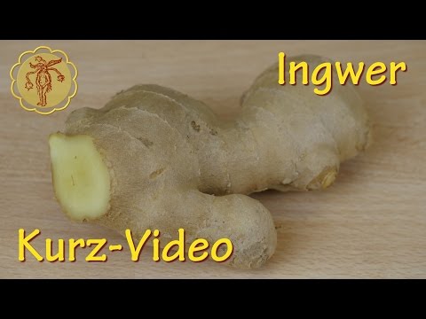 Heilpflanze: Ingwer - Kurz-Video