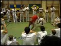 Mestre Di Mola