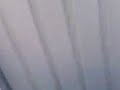  crazy rc car