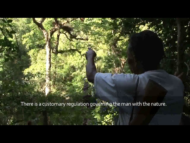 Masyarakat Adat di Indonesia – Eksistensi, Tantangan dan Aspirasi