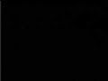 www.nesguide.com