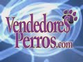 Taller de Comunicación - Ventas y Liderazgo
