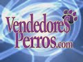 Taller de Comunicación - Ventas y Liderazgo