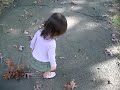walk