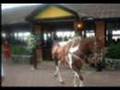 Lienzo Charro Lienzo Charro