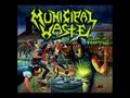 Thrash & Crossover Bands