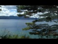 静かな春    水島誠 水島誠