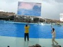 AQUARIUN NAGOYA  3 GOLFINHO HONDA