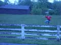 Tracy Running Tracy Running