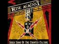 Rise Against - Anywhere But Here (Live)3
