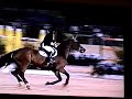 Alaska and Todd Minikus owned by Callie Seaman winning jump off in a $75000 Grand Prix at WEF