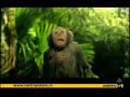 webmeUP - 30sep2007 P1