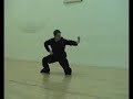 Doce animales de Xing Yi Quan (Gallo)