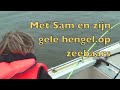 videopreview