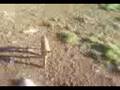 videos de Me busca