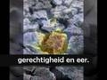Opwekking 670 - Op Hem rust mijn geloof