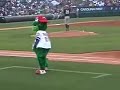 Greenville Drive Baseball Mascot