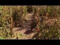 Maze Moment 11-25 - The Middle