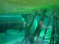 VIDEO 7552 B