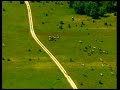 La saca 2004