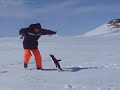 Enlace a Pingüino al ataque