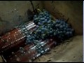 Elaboracion de un vino casero