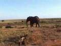National Park Lake Manyara Tanzania 2005