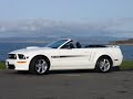 Mymustangsite.com verts