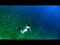 Laurie freedive with Palau black tip