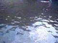 cachoeira-v-u-das-no