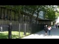 Charlie Veitch  vs. Armed Police at USA Embassy London