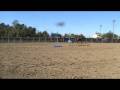 Angi Freedom, Robin & Brumby Freestyle