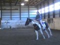 dakota,neck,reining