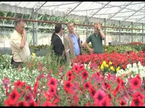 La décoration florale pour le Mariage Princier de Monaco