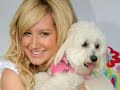 Ashey Tisdale ( l )