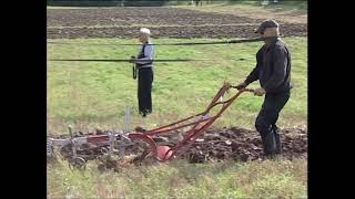 Hestepløjning på Nyvang 2017