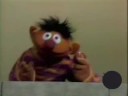 Ernie & Cookie - \ Ernie & Cookie - \