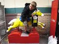 horsie love
