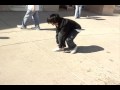 C walk Battle (SRC battle vid for fun)