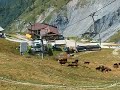 EKSPEDICIJA MT. BLANC 06 - IDILA NA FRANCUSKI NACIN