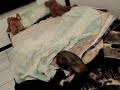 Lodo en mi cama II