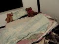 Lodo en mi cama II