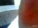Expediente TAFAD