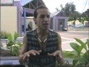 Indians  Are Not Americans Part 2