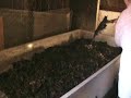 As The Worms Turn Episode 2 As The Worms Turn Episode 2