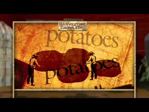 how to harvest knowledge