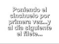 desbrave de potros,videos caballos,yeguada