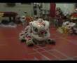 Hok San Lion Dance Sleep Routine by Kun Seng Keng