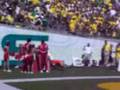 Oregon Duck Vs. Houston Cougar